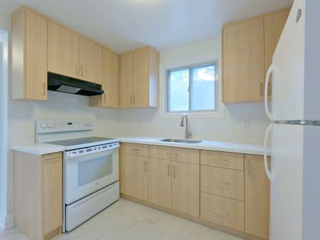 For Lease - 101 Roseview Avenue Unit# Main Lv, Richmond Hill, Ontario - Photo 5