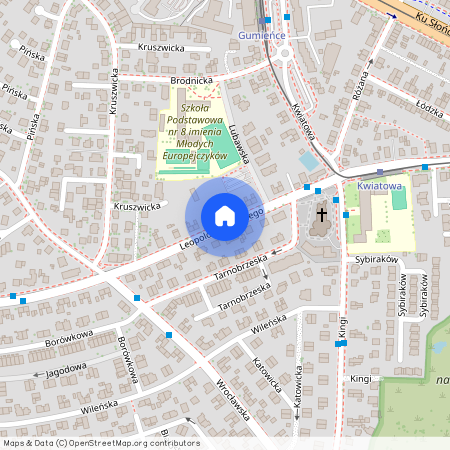 ul. Leopolda Okulickiego, Szczecin