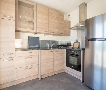 Location Appartement 1 pièce Meublé 44m² ANNECY 74000 - Photo 4