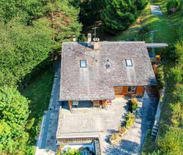 FOR RENT Charming furnished 2 ½-room apartment on the edge of a forest - Photo 1