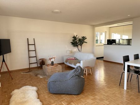 Furnished Private Apartment in Thalwil (limited till 31.03.2027) - Foto 3