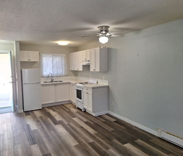 Mission Suites – 1 Bedroom Suite - Photo 2