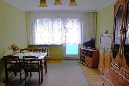 Mieszkanie do wynajęcia 2 pokoje Parzęczewska, Zgierz 48.4 m² - Фото 3