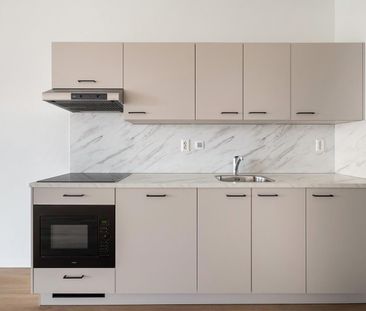 Te huur: Appartement Lise Meitnerhof in Leiden - Photo 1