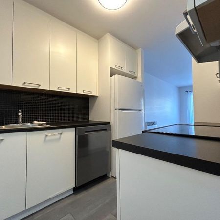 Coup de coeur ! 3 1/2 refait à neuf + 5 électros à Lachine - Disponible - 1 450 $ - Photo 3