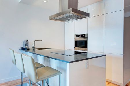 635 Rue St Maurice, Montréal (Ville-Marie), QC H3C - Photo 2