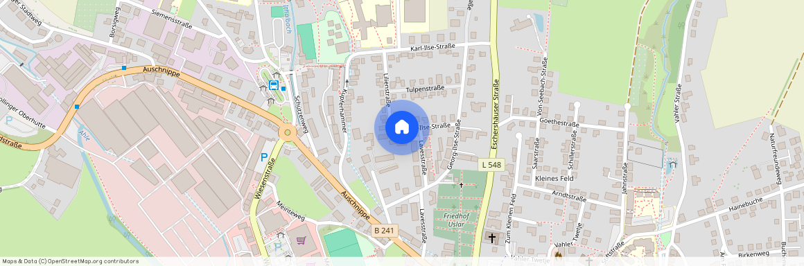 Walter-Ilse-Str. 7, 37170 Niedersachsen - Uslar