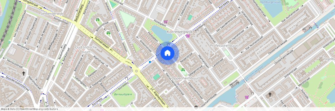 Oppenheimstraat 88B, 9714 ET Groningen