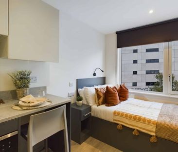 Classic Studio - Photo 4