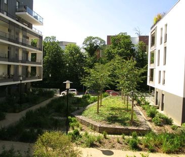 T3- Parc de la Robiquette - Photo 6