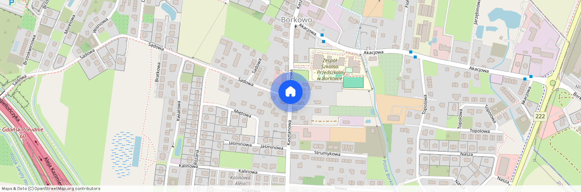 ul. Kasztanowa, Borkowo, Pruszcz Gdański, gdański, pomorskie