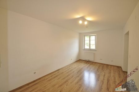 Gepflegte schöne 3 Zimmer-Wohnung in Pressbaum mit Pergola - Photo 3