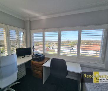 34 Hill Street, North Lambton - Photo 6