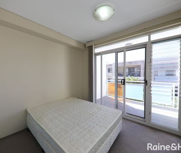 U/175 Avoca Street, Randwick, NSW 2031 - Photo 4