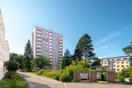 Well-maintained environment, quiet location - Photo 4