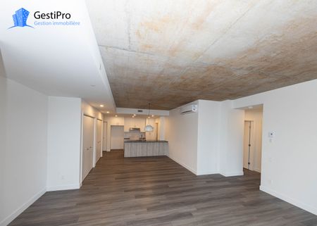 40 Cardinal Maurice-Roy – Le Lièvre - Photo 2