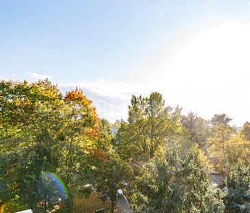 Perfect Single Living - Photo 5