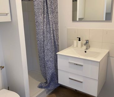 Location Appartement 1 pièce 19m² ST MAURICE 94410 - Photo 6