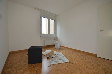 Attraktive 4.5-Zimmer-Wohnung im Erdgeschoss in Forch - Foto 3