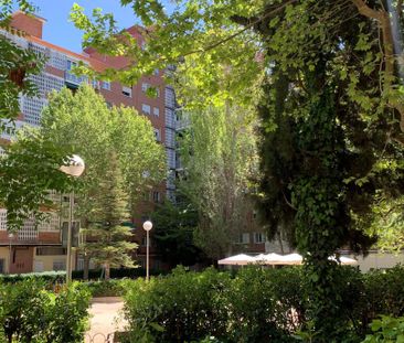 Madrid, Community of Madrid 28047 - Photo 4