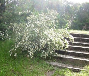2:A NÄRA FRIDHEMSPLAN UTHYRES - Photo 6