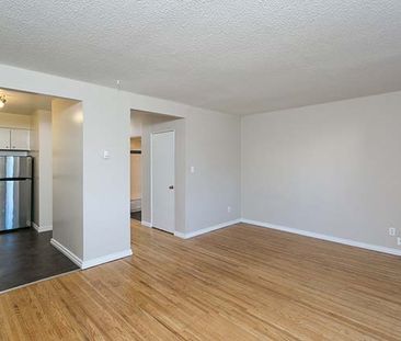 The Laurels Apartments - 1 Bedroom - Photo 3