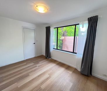 5a Stumm Place, Latham - Photo 4