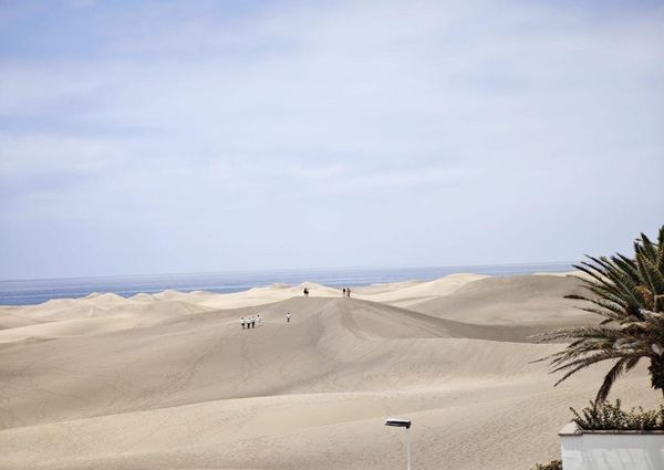 Maspalomas, Canary Islands 35100