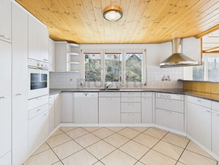 Wohnen und Arbeiten: Eindrucksvolle Maisonette-Wohnung mit grosser Gewerbefläche - Foto 3