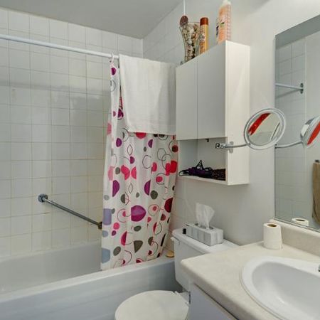 Appartement 3 ½ à louer Lévis juillet 2026 - Photo 4