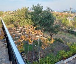 Μονοκατοικία για ενοικίαση - Συκάμινο, - Photo 1