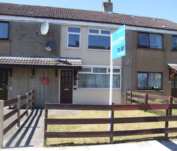 21 Slievecool Park, Lurgan, BT66 8NJ - Photo 3