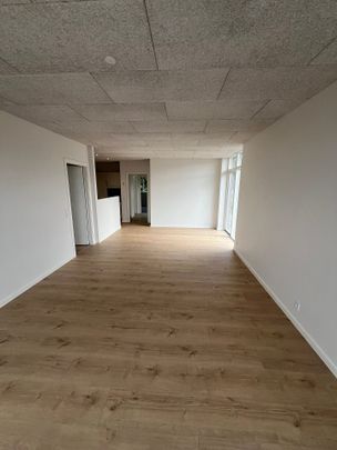 NYBYGGET, ENERGIVENLIGE OG MODERNE RÆKKEHUSE TIL LEJE PÅ JOHAN DEN MILDES VEJ - Foto 1