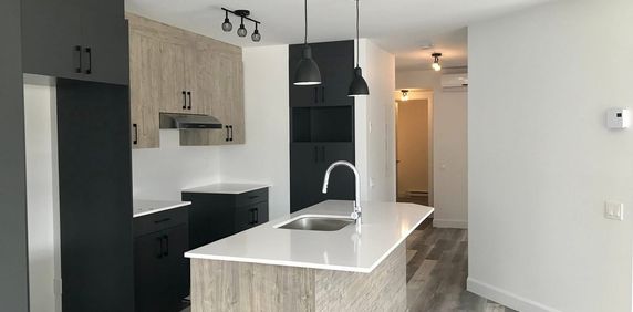 Appartement 4 1/2 - Photo 2