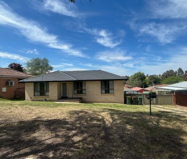 Fully Renovated 3-Bedroom Home - South Bathurst - Photo 2