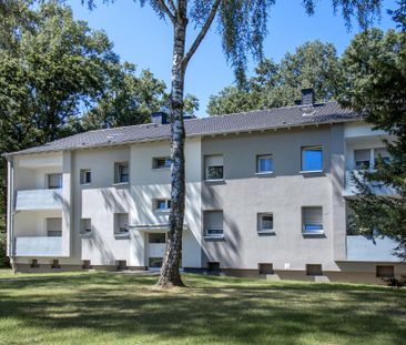 3-Zimmer-Wohnung mit Balkon in Castrop-Rauxel-Castrop mieten - Photo 3