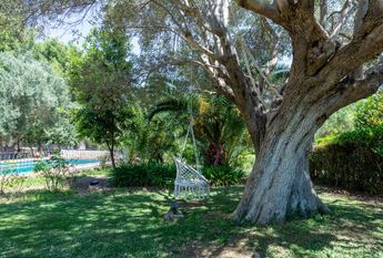 Establiments, Palma De Mallorca