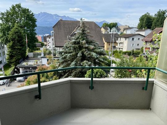 CENTRAL WITH VIEW - Photo 1