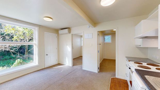 C/30 Devon Street, Aro Valley - Photo 1