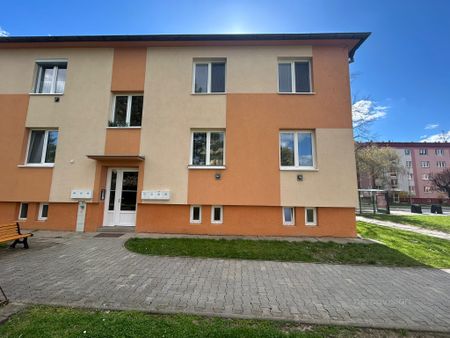 Pronájem bytu 2+1 65 m² - Photo 4
