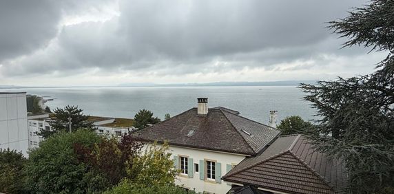 Appartement entièrement rénové avec vue imprenable sur le lac et les Alpes - Photo 2