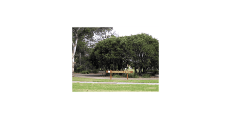 Renovated Double Brick 3 bedroom Home - Photo 2