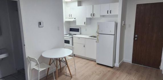 1 1/2 - Sherbrooke - 725 $/mois - Photo 2