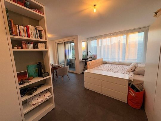 Récent logement de 1,5 pièces au coeur de Bussigny - Photo 1
