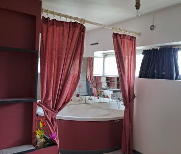 Location Appartement 1 pièce 23m² ALBI 81000 - Photo 3