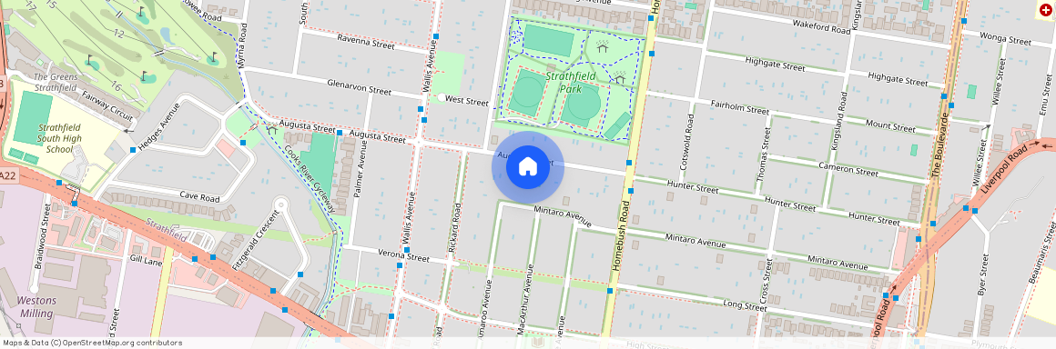 20 Augusta Street, Strathfield, NSW 2135