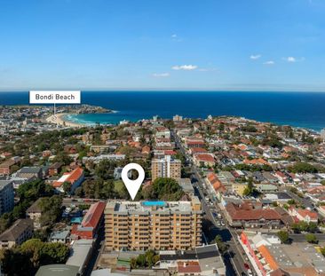 Bondi Beach Studio Apartment with Courtyard - Photo 3