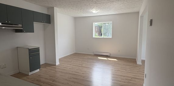 Grand 4 1/2 Situé Dans Un Immeuble Calme - Photo 2