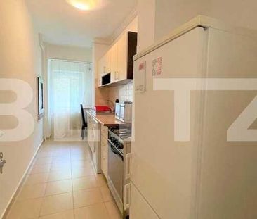 Apartament 1 camera, 40 mp, zona strazii Titulescu - Fotografie 3