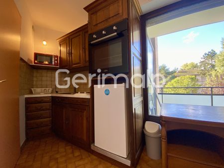 Location Appartement 1 pièce 18,94 m² - Photo 3